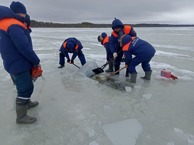 Учебно-тренировочные водолазные спуски