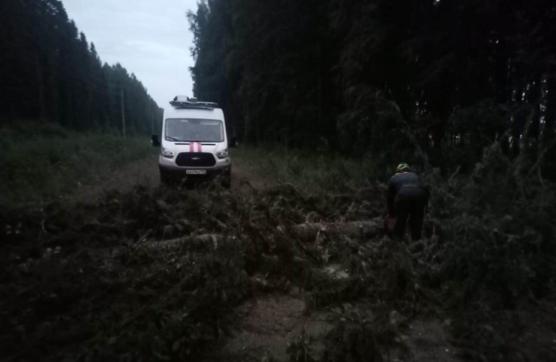 В ночь с 24 на 25 июня на 258 км автодороги Вологда – Медвежьегорск  в результате грозы и ураганного ветра произошел обвал деревьев на дорожное полотно.