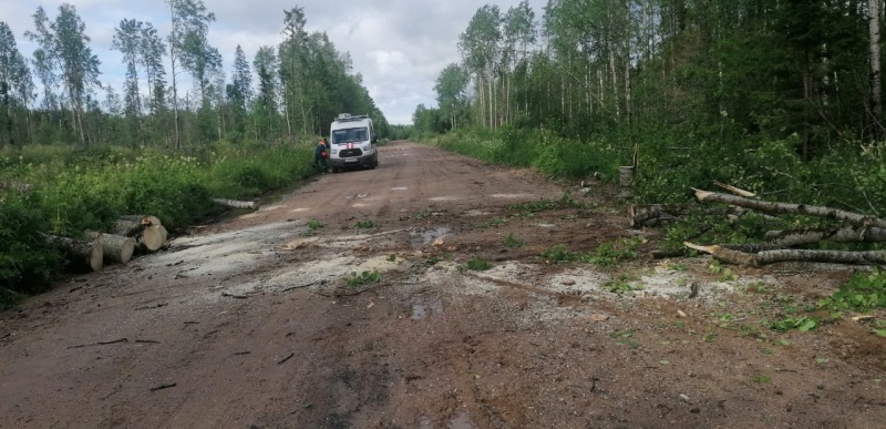 ПСР по уборке аварийных деревьев.