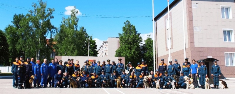 Сегодня, 20 июня, отмечается день образования кинологической службы МЧС России.