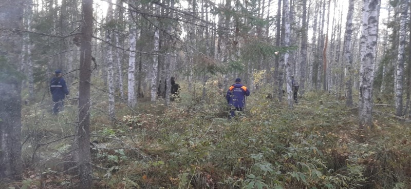 Вчера вечером потерявшиеся с 19 сентября в лесу мужчина и женщина вышли самостоятельно.