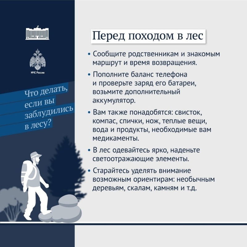 #АСУНЦВытегра напоминает вам о правилах, которые позволят уберечь себя от неприятностей в лесном массиве