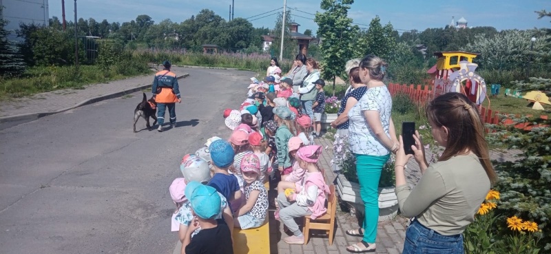 Долгожданное и всеми любимое время года в самом разгаре!