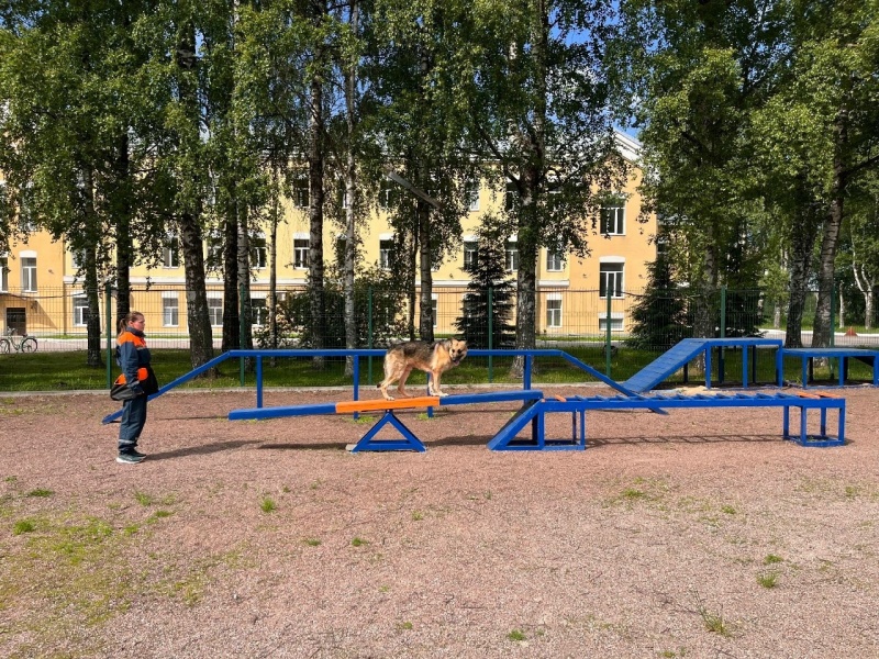Ежегодные сертификационные испытания кинологических расчетов МЧС России